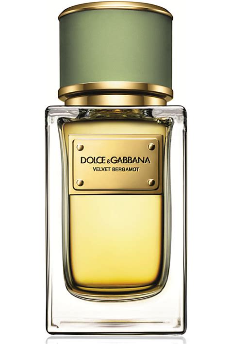 dolce gabbana new fragrance 2014